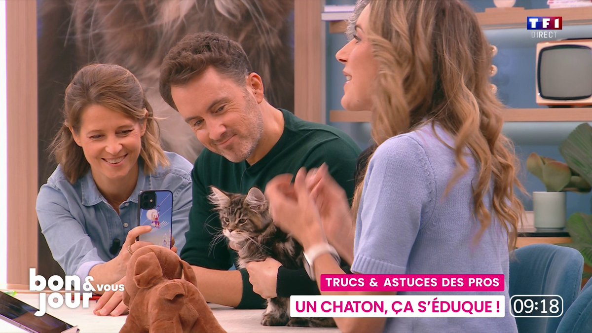 😺 Le chat est réputé indomptable, et pourtant comme le chiot, il s'éduque ! 📺 Voici les "Trucs et Astuces" de notre vétérinaire accompagnée d'un bébé Maine coon sur le plateau de #BonjourLaMatinaleTF1 présentée par Bruce Toussaint ⬇️