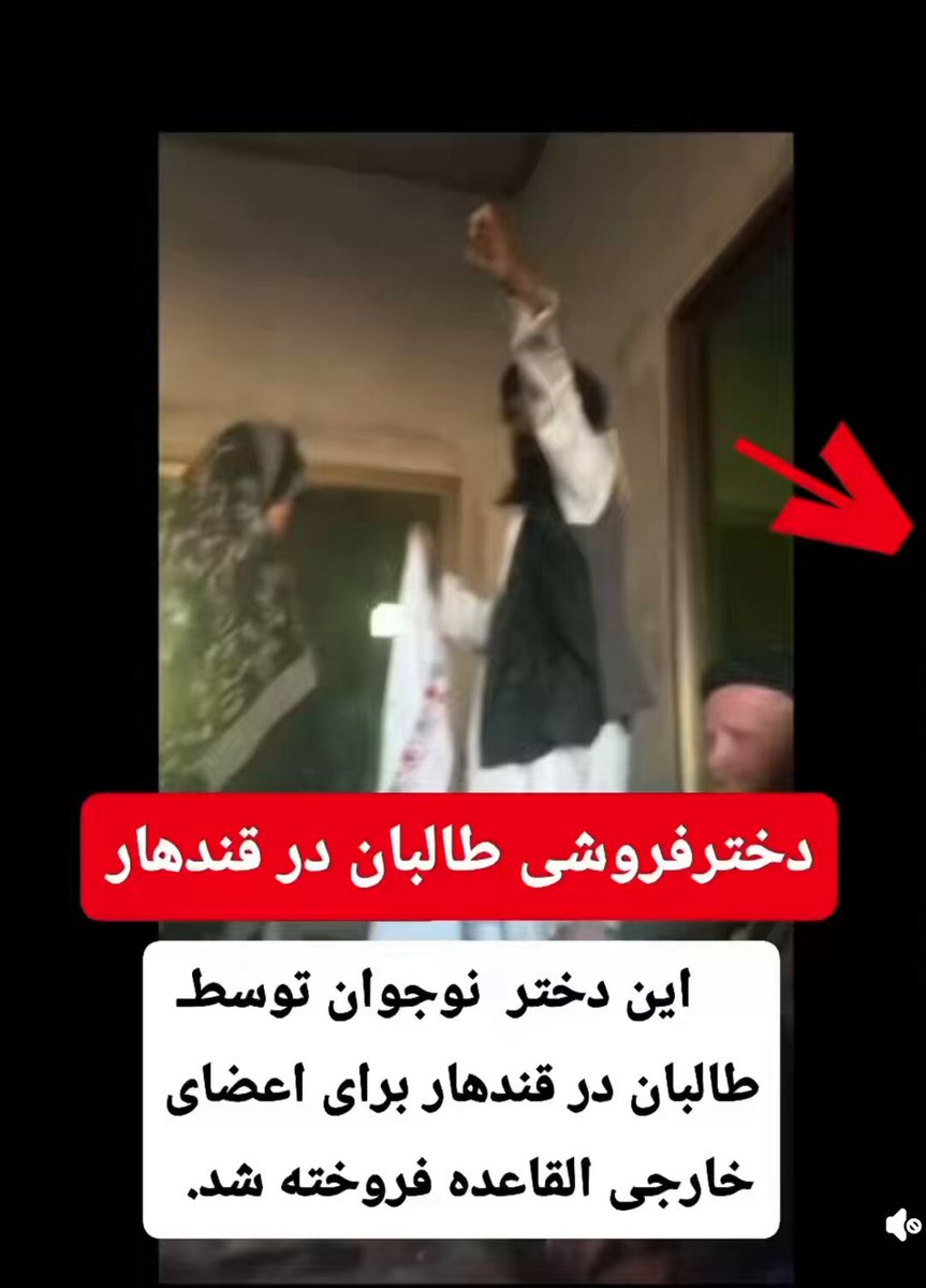 جریان معامله دختر فروشی طالبان با اعضای خارجی القاعده ظاهرا به نظر میرسد که این عضو تروریست خارجی امریکای باشد نظرات شما ـــــــــــــ؟