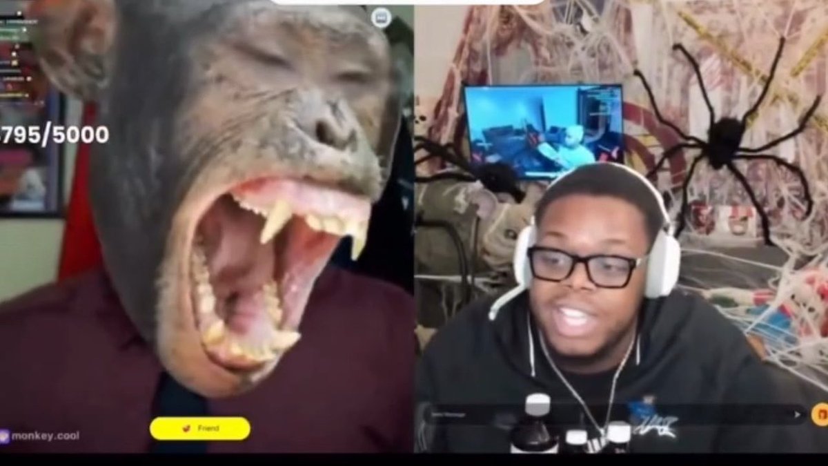 Throwback to when Gypsy Crusader met Cuffem on monkey and he started chimping out.