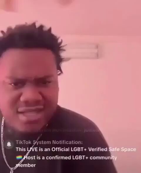 This LIVE is an Official LGBT+ Verified Safe Space. Host is a confirmed LGBT+ community member... What? Hold on. Nah bro nahh this can’t be right / Person on tiktok tricked by a fake TikTok System Notification account, reading out loud, gay homosexual / reaction video meme