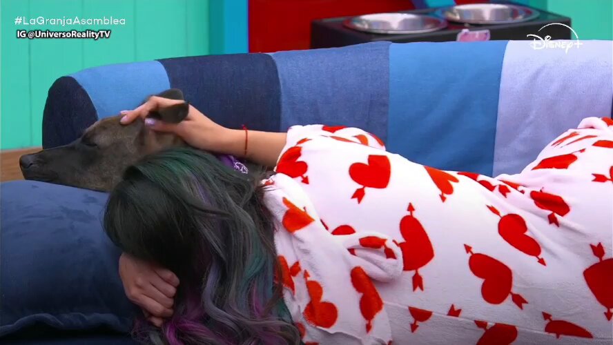Bebeshita le dice a Tlacoyo que quiere adoptarlo. Que su Taquito también es adoptado y albondiguita lo amaría 🥰 Ohh Bebeshita eres la madre definitiva de los animalitos 💖🐶🐷 #LaGranjaMx #LaGranjaAsamblea