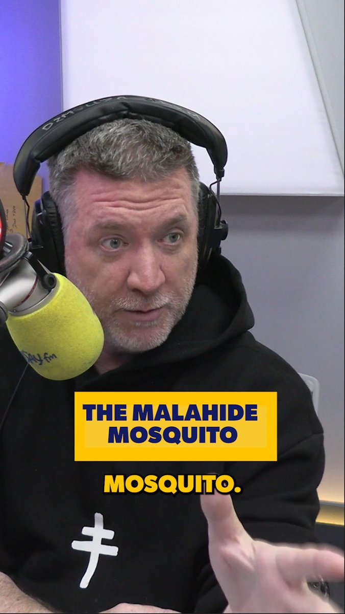 Elaine Crowley joined Dave when the chat turned to the Malahide mosquito, and she bestowed an unknown concoction from Thailand upon Dave. ๐