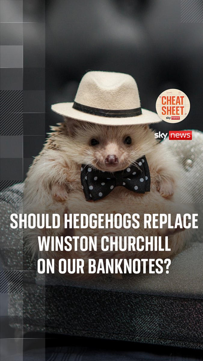 Hedgehogs are among four animals that will replace historic British figures including Sir Winston Churchill on UK banknotes. Sophy Ridge discusses the decision with Wilfred Frost - who is passionately against it. Listen now 🔗