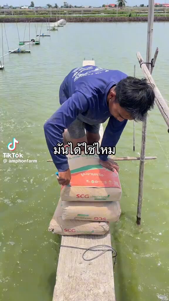 โอ้โห แล้วชั้นไปหามา มีคนเอามาลงในตต เลยด้วย แคปชั่น “สร้างเปลือกน้องกุ้งแบบเร่งด่วนได้ใช่มั้ย” #วิถีคนเลี้ยงกุ้ง คือตอนแรกเราก็นึกว่าความลับ วงในอะไร พี่ล่อลงคลิปเลยอ่ะ