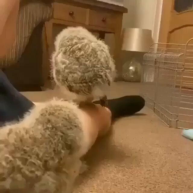 Good job, little one