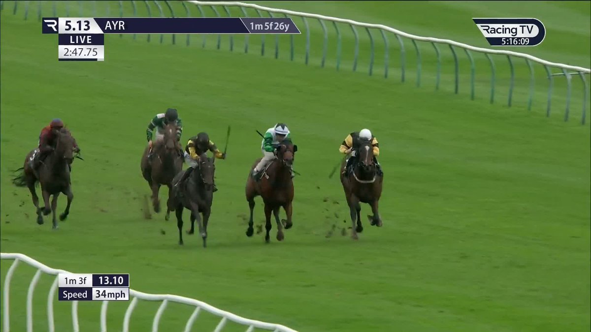 A fitting winner of the Flat finale of the year at Ayr Racecourse as Aighear repeats last year's victory under Paul Mulrennan for that man Jim Goldie Racing, now with over 300 winners at the track!