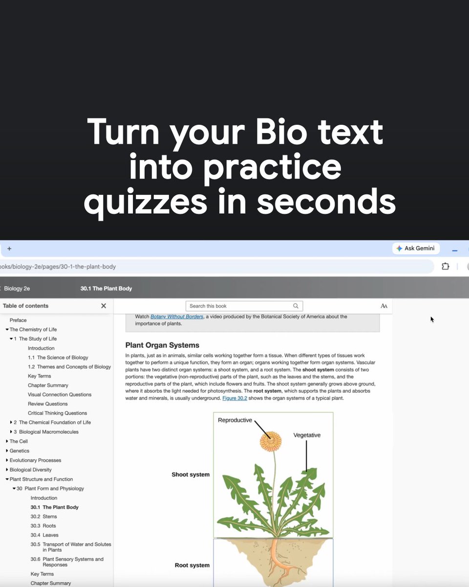 Exam prep, meet your new study tool. 📚 Create practice quizzes from your study materials with Gemini in Chrome, and see what’s sticking before exam day. This update is rolling out now.
