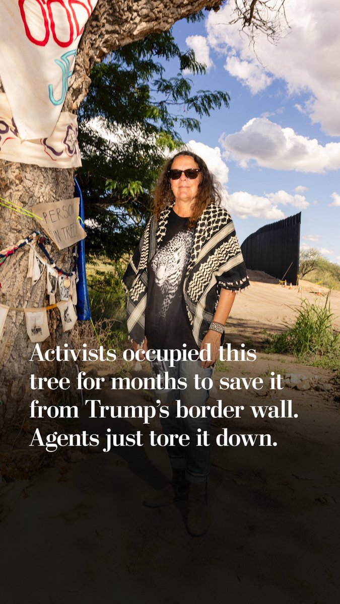 For more than two months, activists sat in the branches of a giant cottonwood tree along the Mexico border in an effort to block federal contractors from knocking it down to make way for President Trump’s border wall. That standoff came to an end.