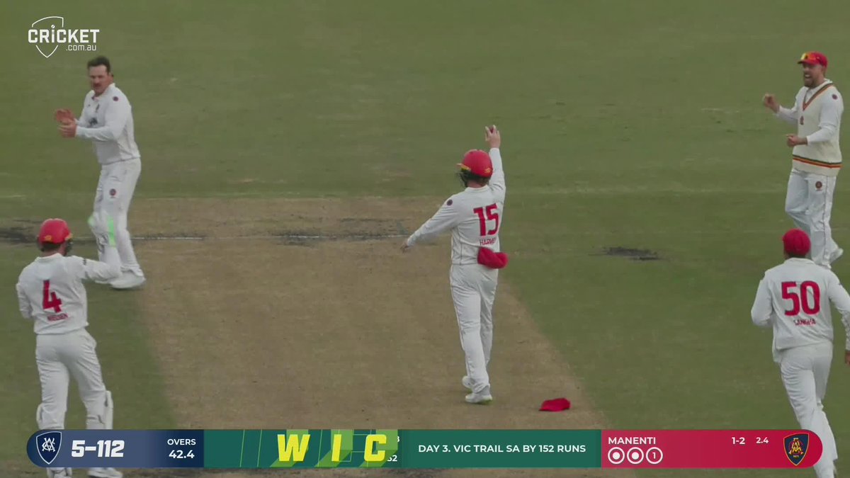 One of the great short-leg catches 🙌 Mackenzie Harvey with a screamer for SA! #SheffieldShield