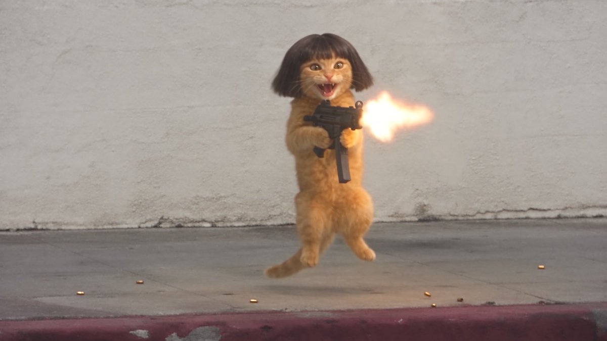 lil uzi cat