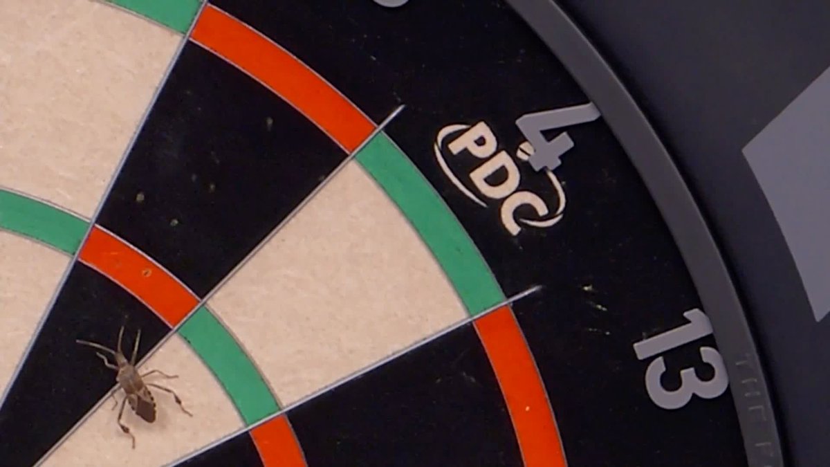No mercy from Willie… May be the biggest bug we've ever seen on a dartboard 🤣