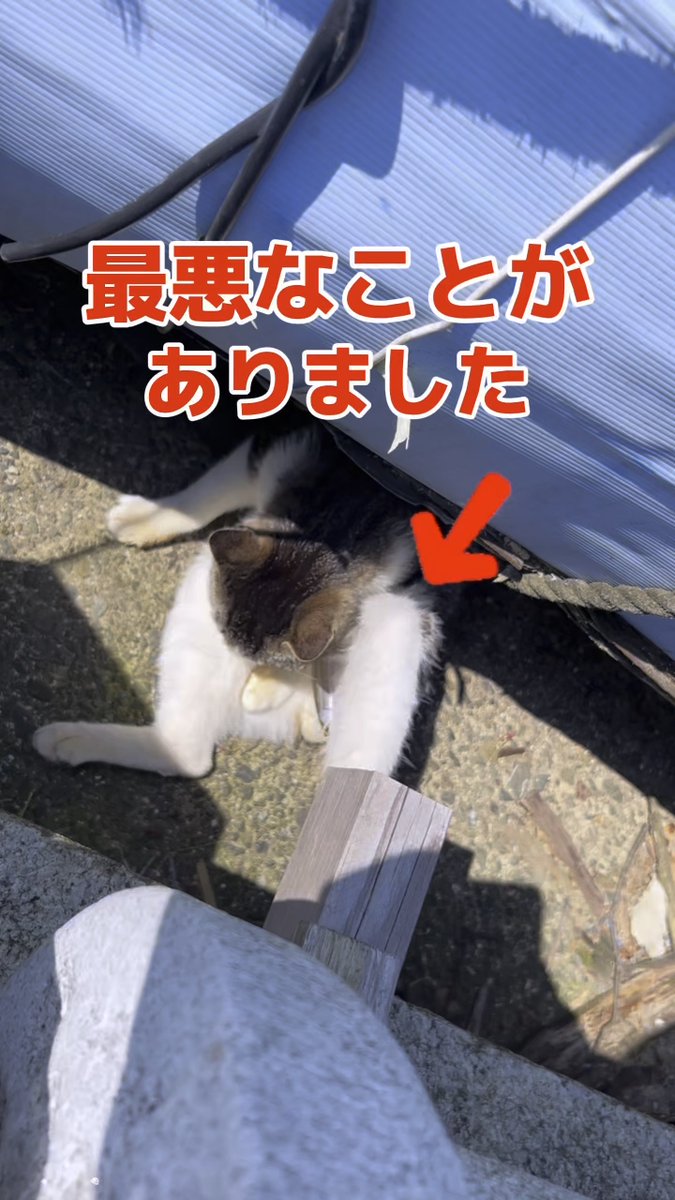 明日から３連休 生きものや自然のためにも気にかけていただけたら幸いです。
