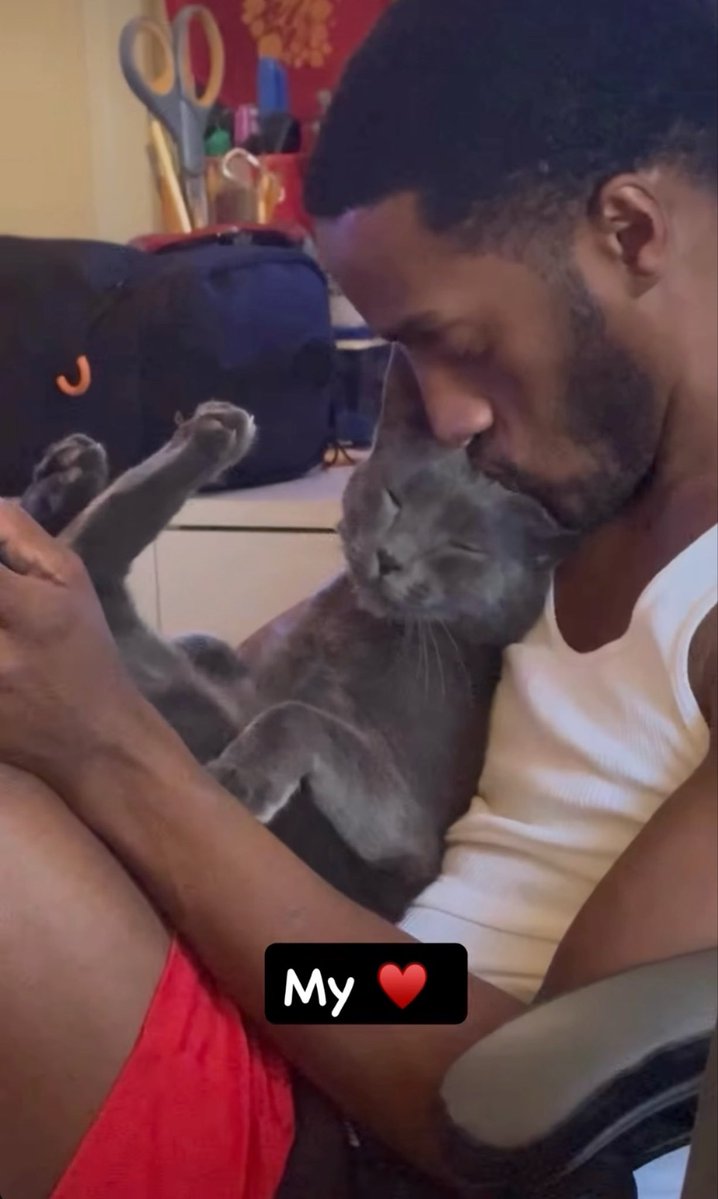 Baby boy 🐈‍⬛🐱😻