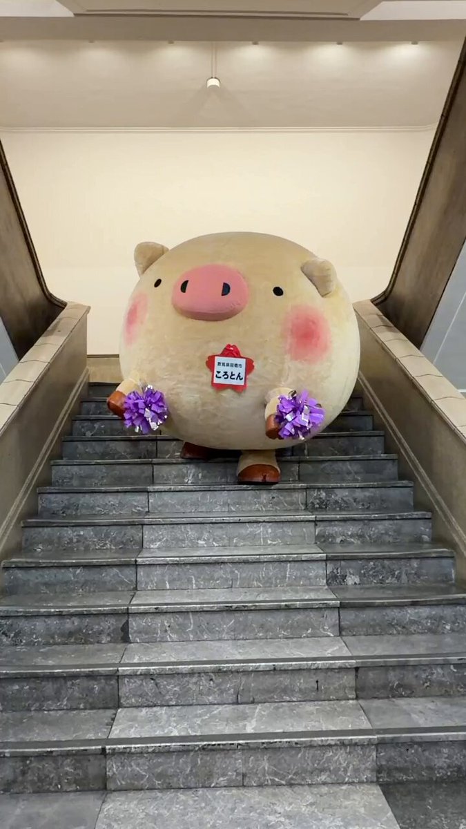 こんころ〜 今日は10月10日、、、！🐷 なんの日かわかるころ？👀 前橋まつりの初日？？ それもそうだけど、、、 ころとんのお誕生日だころ〜˖ . ݁𝜗𝜚. ݁₊🎉 大人の階段登っちゃうころ🎉💪 (反対登りはあぶないころ！マネしないで欲しいころ😭🫠)