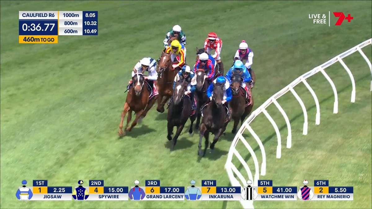 EIGHT STRAIGHT FOR JIGSAW 🧩 Another frontrunning masterclass from Cindy Alderson's star in the Schillaci Stakes! Logan Bates AldersonRacing