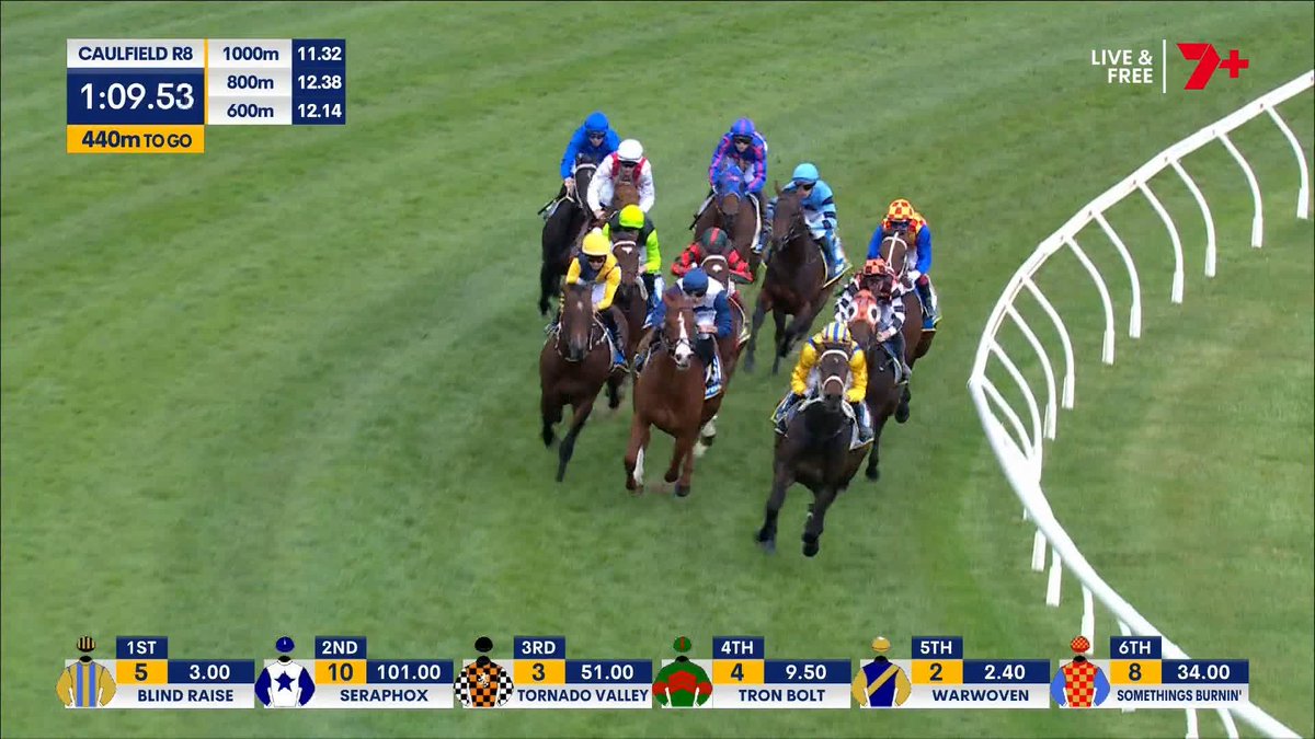 WARWOVEN YOU ARE A SUPERSTAR 💙💛 RACHEL KING PRODUCES A PEARLER TO WIN THE CAULFIELD GUINEAS 👑 Rachel King Bjorn Baker Racing