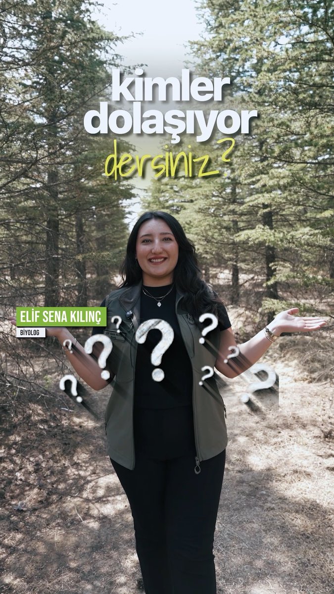 🐺🦌 Vaşak, kurt ve belki de daha önce hiç görmediğiniz türler... 📸 Ormanlarımızın gizli sahipleri, Milli Parklar ekiplerimizin fotokapanlarına işte böyle yansıyor. 👇