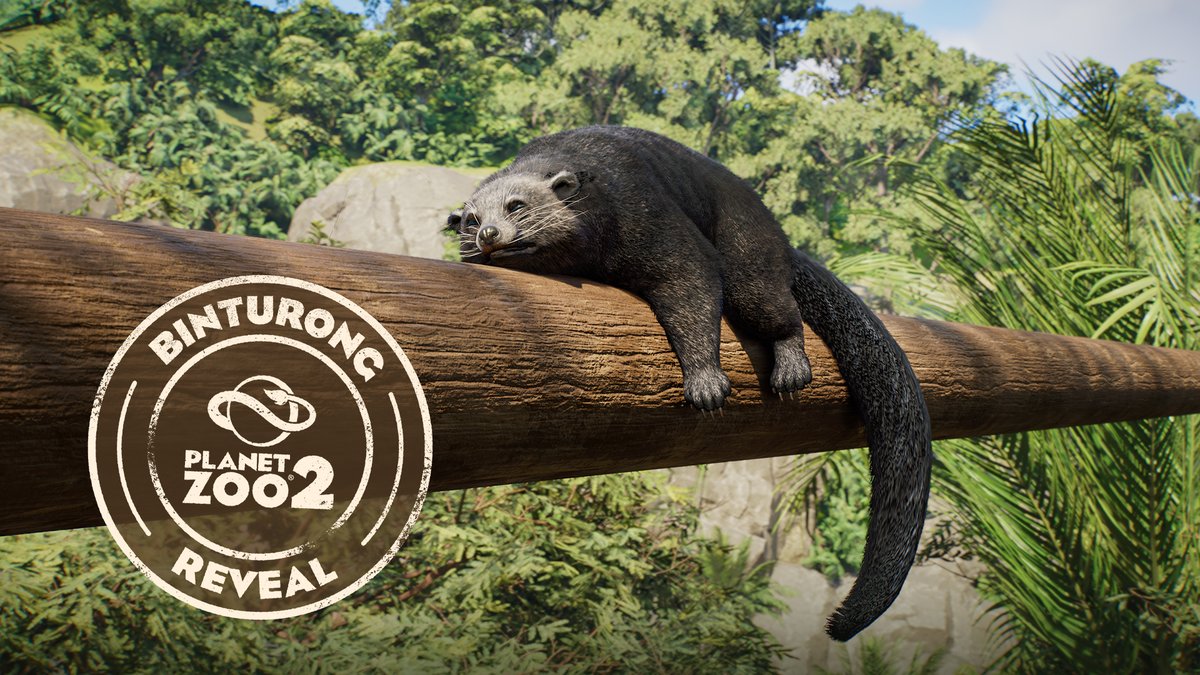 This Binturong has never felt so Bintu-right. Pre-order Planet Zoo 2: