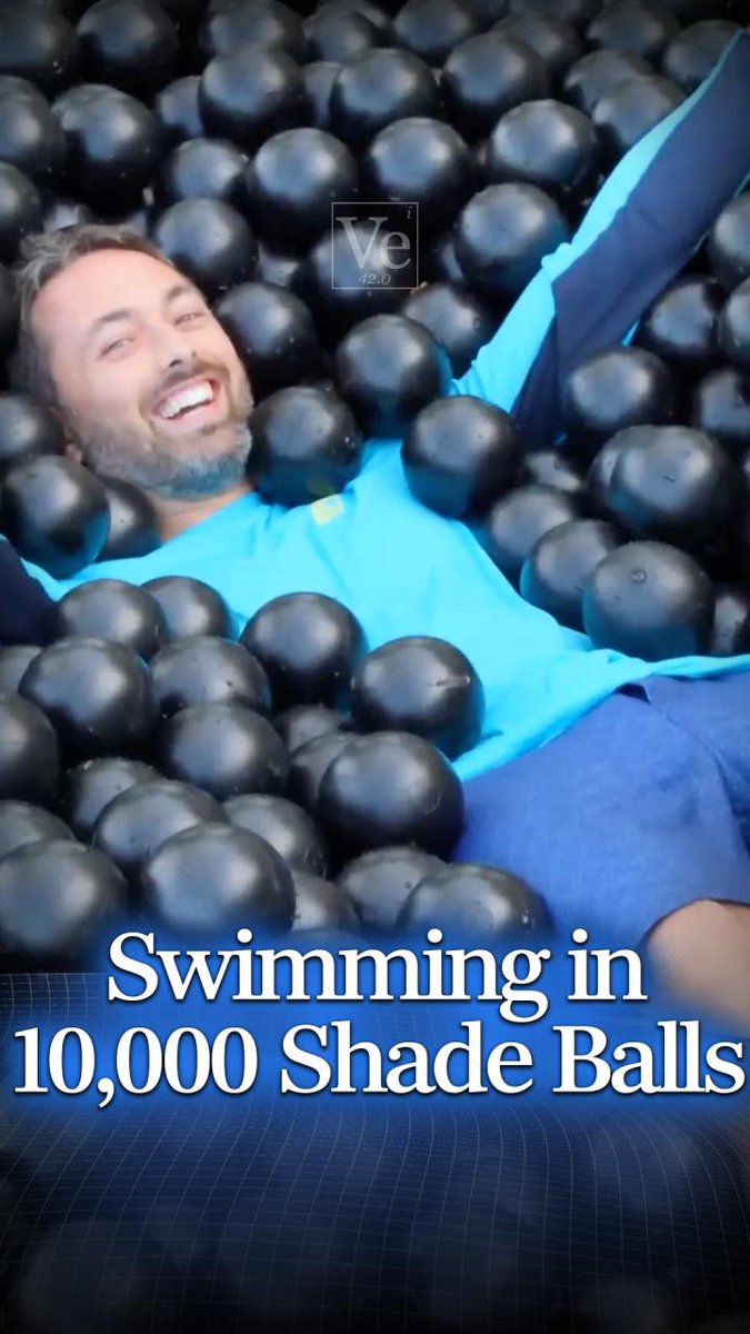 I purchased 10,000 shade balls to swim in