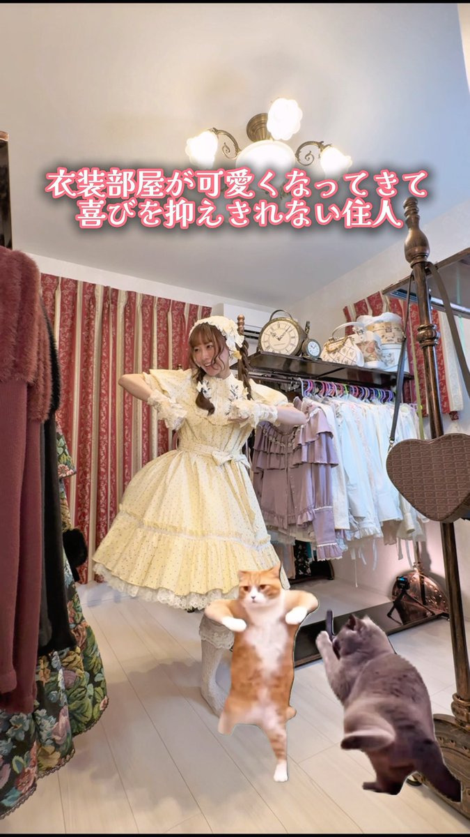 衣装部屋が進化したよ✨✨ ラックを前の白パイプの物から、アンティーク調の物に変えました☺️ どうかな!? ちょっとオシャレなお店っぽくなった気がする♡ 可愛い衣装部屋目指して悪戦苦闘してたんだけど、インテリアに凝る前に、溢れんばかりのお洋服や小物が綺麗に収納できなくて、お片付けのプロの方にお家に来てもらいました📦 なんと前あった白いパイプラックは手前側にあるクローゼットの中に縦に入っているというすご技!!! 字面だけじゃうまく伝えられないんだけど、とにかく素敵になって来てるのでお片付け終わったらまた動画にするね🎶 全部であと2回あるからちょっと先になっちゃうけど! 貴婦人のワードローブの片鱗が見えて来てウキウキです🙌