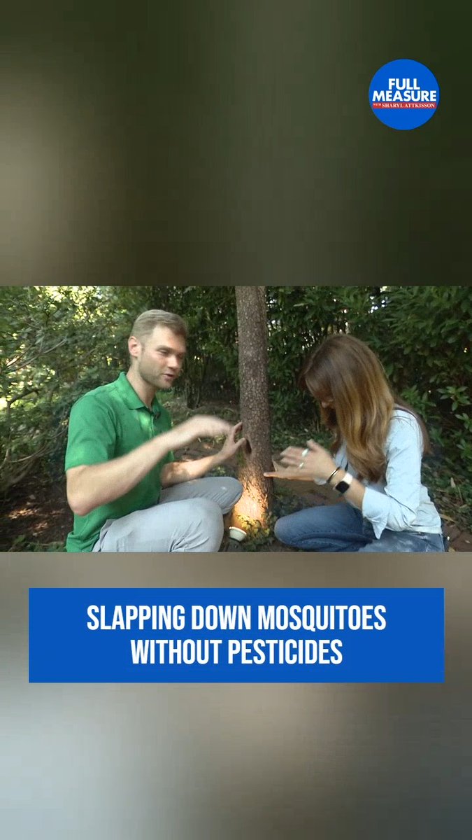 This Sunday on my show we're looking at a way of fighting mosquitos without chemicals. How to watch: