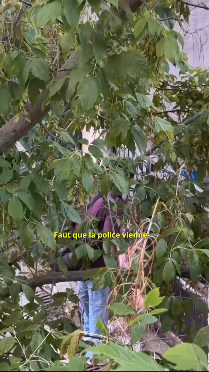 enfaite j’me pose une seul question en voyant ce genre de vidéo, comment vous arrivez à garder votre calme comme ça quand la police fait ce genre de commentaire ? ça deviens grave hein ( TikTok 📹: hubryss )