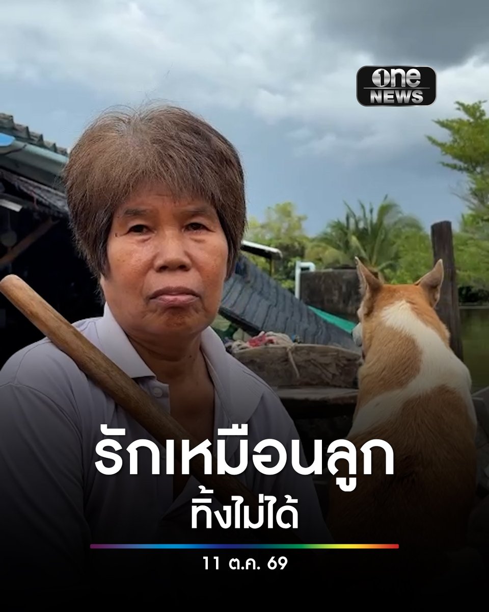 บ้านสร้างน้ำท่วม ป้าไม่ทิ้ง 4 ขา เผยรักเหมือนลูก ฉลาด พูดรู้เรื่อง #สำนักข่าววันนิวส์ #น้ำท่วมปราจีนบุรี