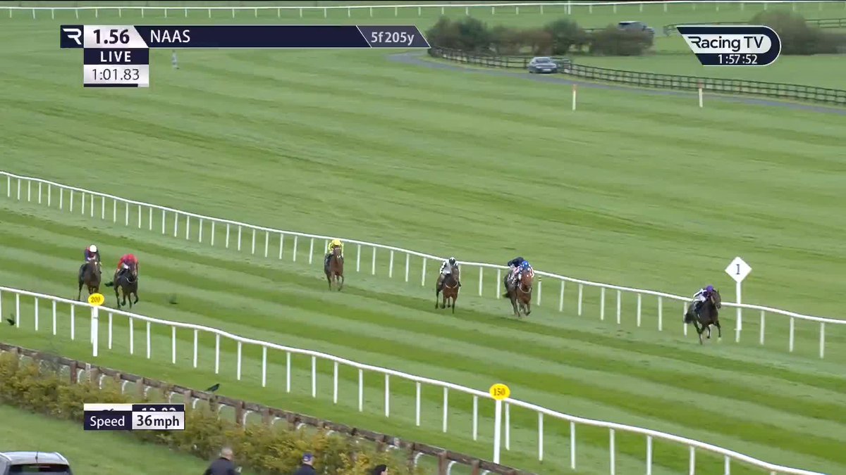 Wow! 😮 A dominant win for favourite Bengal Tiger (No Nay Never), who makes it third time lucky for Aidan O'Brien under Ryan Moore Naas Racecourse