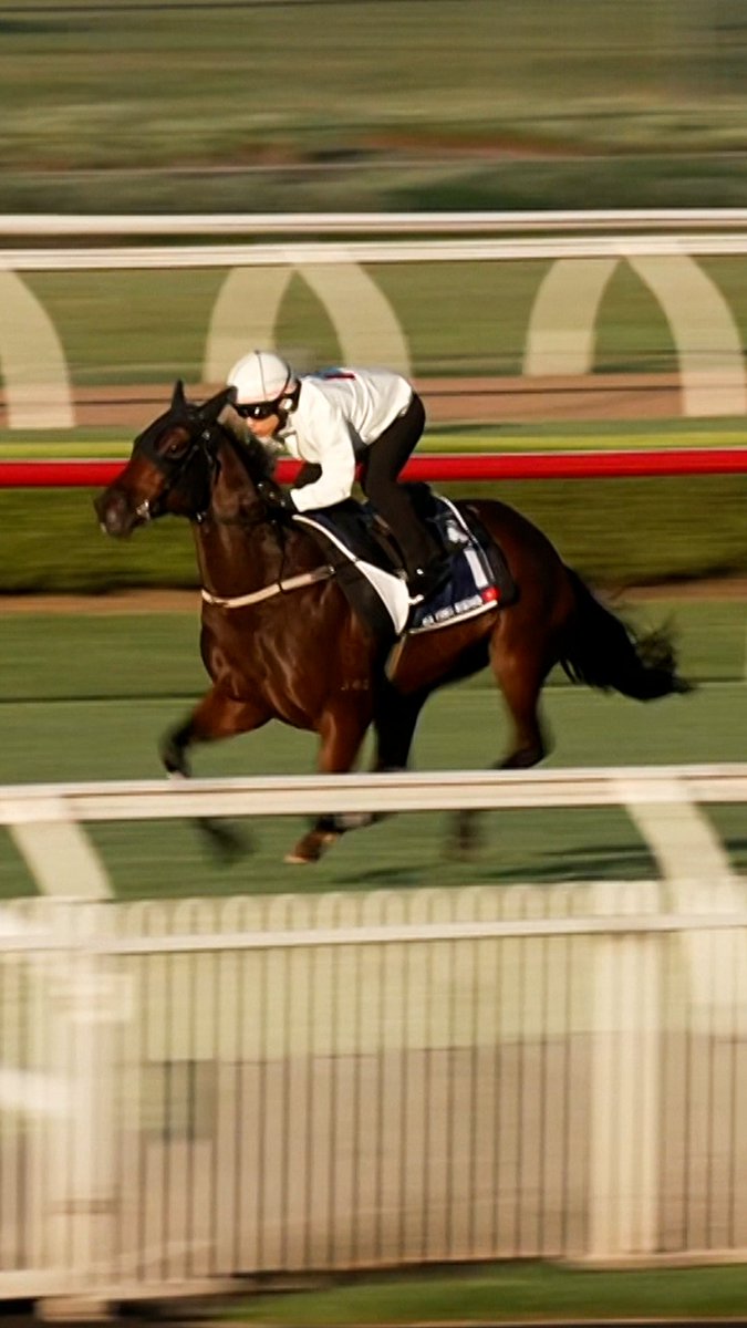 Ka Ying Rising has his final hit-out before The TAB Everest on Saturday 🏎️