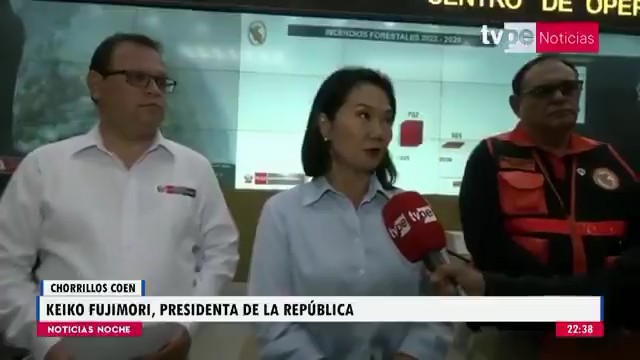 Los incendios forestales que están ocurriendo en el sur del país, son provocados por los mismo pobladores.