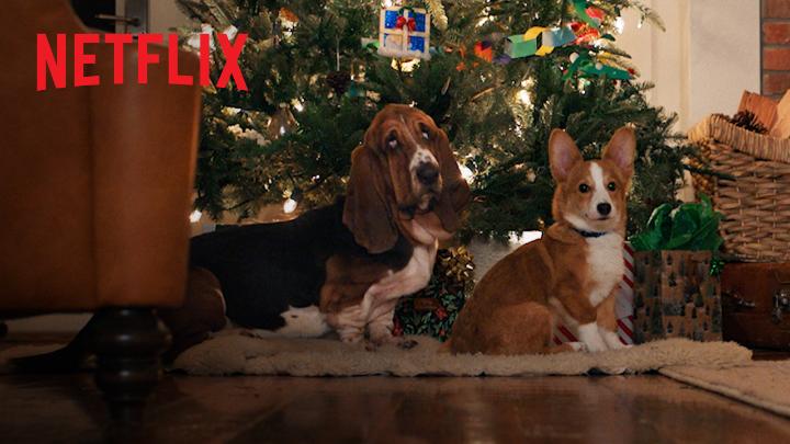 Obviamente un perrito podría ser la clave para salvar esta Navidad. 🐶🎄 'La razón de estar contigo: Una Navidad perfecta' llega a Netflix el 4 de noviembre.