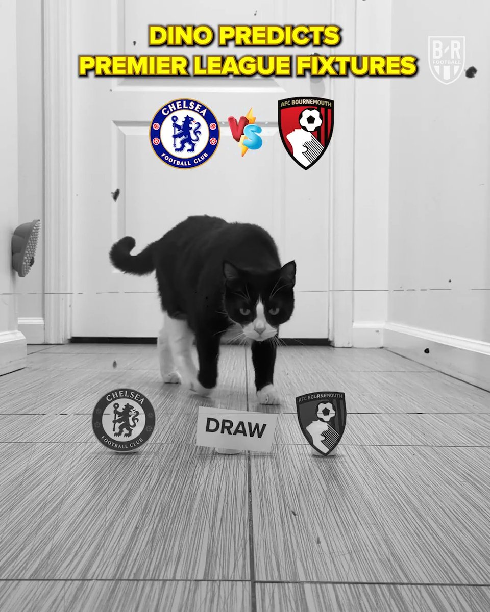 So close to a perfect set of predictions for Dino 🤏