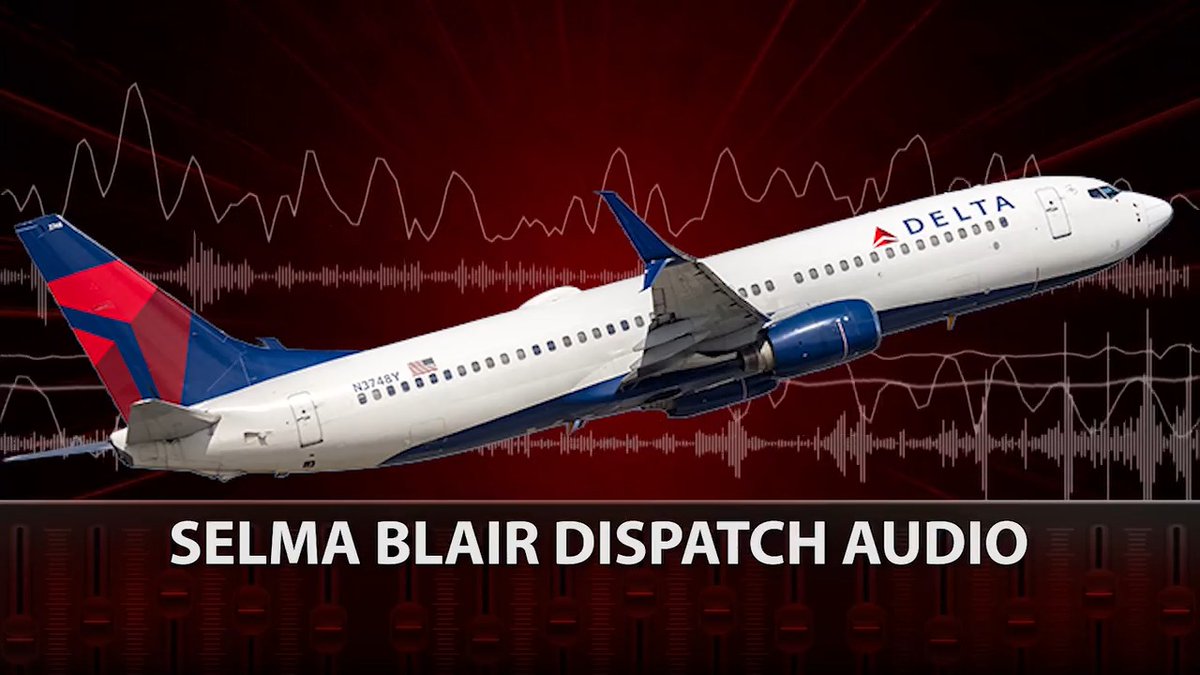 🚨 Selma Blair allegedly caused chaos aboard a Delta Airlines flight -- punching one flight attendant and biting another after trying to open the plane's door in the middle of the flight.