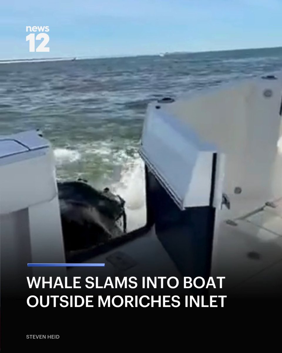 WHALE CRASH: A whale slammed into the door of a boat outside Moriches Inlet with three people on board. #News12LI #MorichesInlet