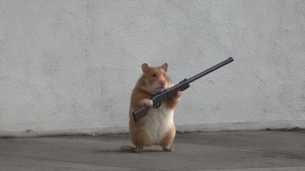 hamster wif shotgun