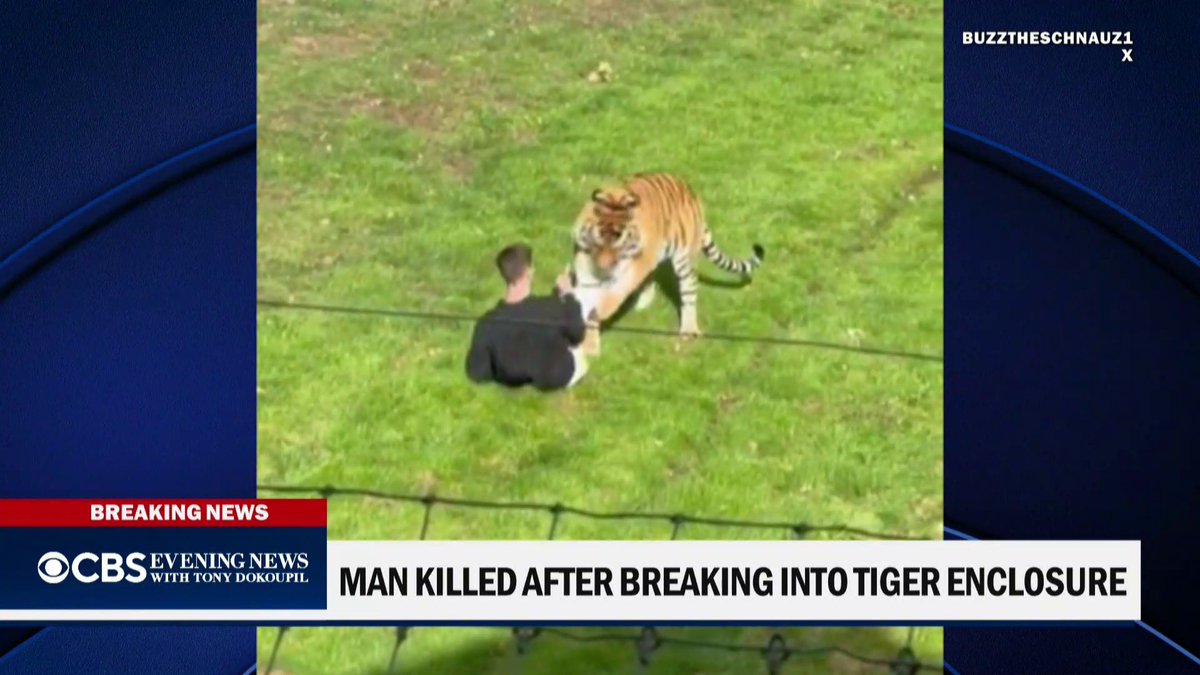 A man died Saturday after he entered the tiger enclosure at a wildlife park in northern England and was attacked by one of the animals, police said. The tiger was not injured.