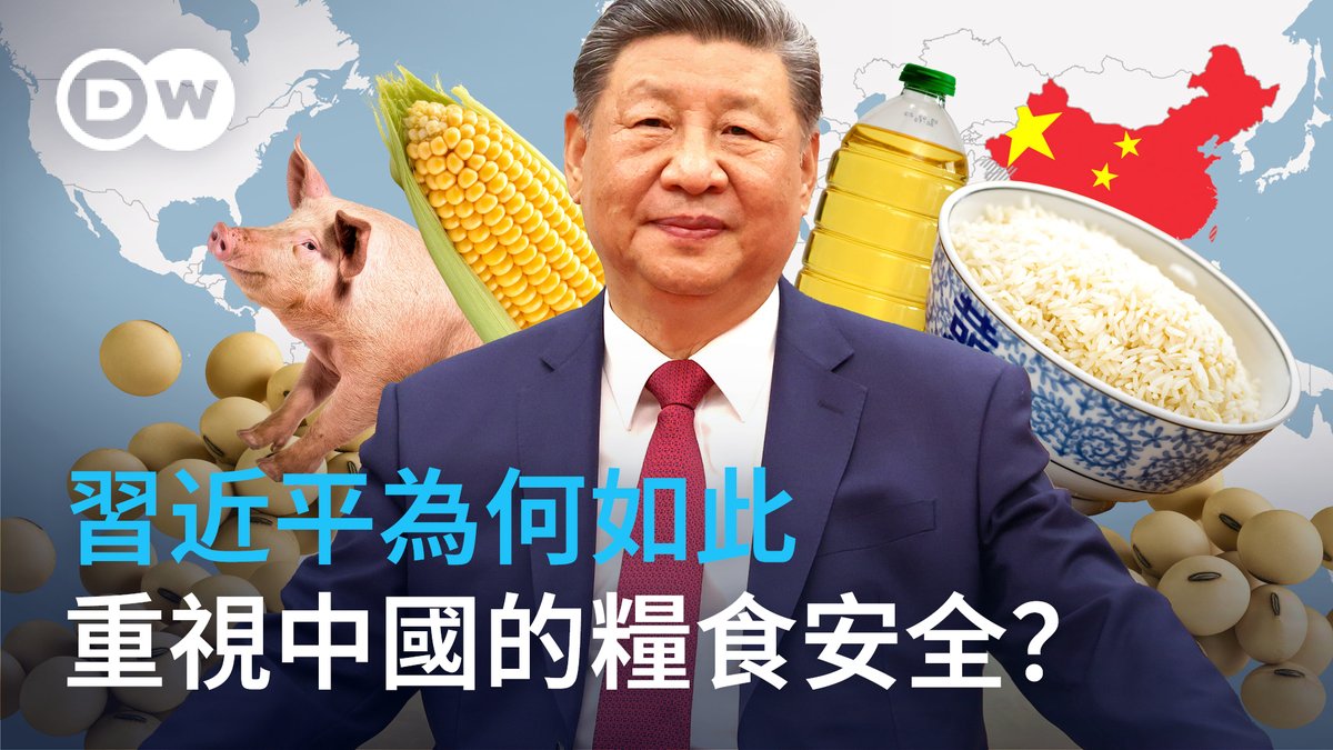 習近平為何如此重視中國的糧食安全？ 中國人口眾多，僅靠國內耕地無法滿足糧食需求。歷史上，饑荒和糧食危機曾多次導致王朝政權傾覆。正因如此，習近平制定了「立足國內生產、確保海外進口」的糧食戰略。#mappedout