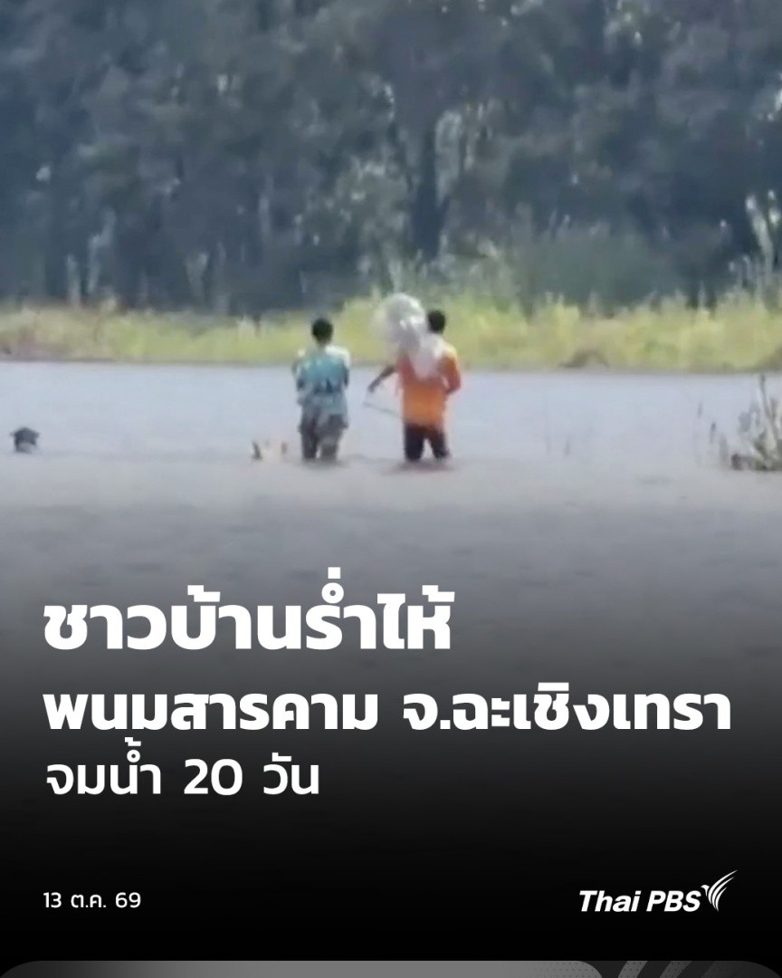ชาวบ้านร่ำไห้ พนมสารคาม จ.ฉะเชิงเทรา จมน้ำ 20 วัน น้ำตาของคุณป้าชาวตำบลหนองแหน อ.พนมสารคาม จ.ฉะเชิงเทรา หลังเผชิญน้ำท่วมกว่า 20 วัน น้ำเคยสูงจนมิดศีรษะ แม้ลดลงเหลือระดับอก แต่ทรัพย์สินภายในบ้านเสียหายเกือบทั้งหมด #วันใหม่ไทยพีบีเอส #ข่าวไทยพีบีเอส #ข่าวที่คุณวางใจ #ThaiPBS