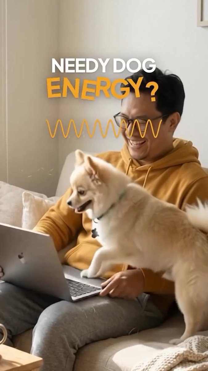 Needy dog energy? Hey, BabyDogers, and I’ve got 3 steps to help your pup chill out. •Step 1: Stop giving attention every time your dog demands it. •Step 2: Wait for calm. •Step 3: Reward only the calm. Your dog barks, whines, paws at you, or follows you everywhere? If every little demand gets an instant reaction, your pup learns that this is how to get your attention. 👉🏻Here’s the trick: wait for a calm moment, then reward it with praise, cuddles, or a treat. You’re not loving your dog any less. You’re teaching them that they don’t have to demand attention every second to feel safe and loved. Every pup deserves love, patience, and a little help learning to settle down. So give them a chance. And give yourself one, too !🐕💛