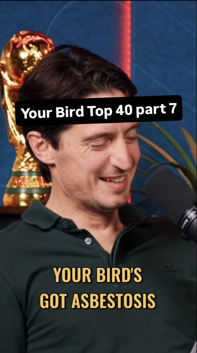 Your Bird ™️ Top 40 (40-20) part 7