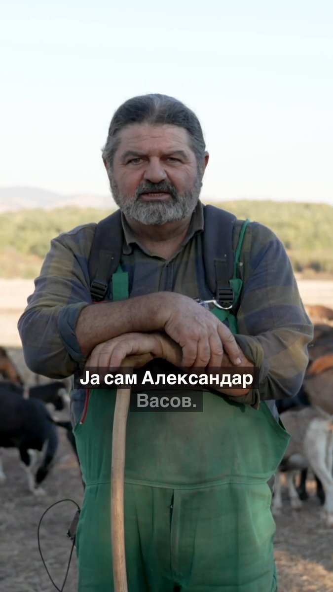 Naš kandidat, farmer, Aleksandar Vasov. 🐑❤️🔥