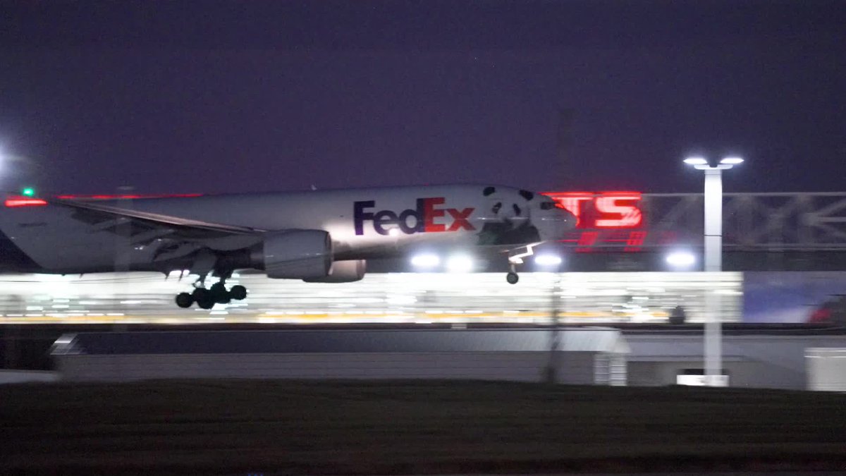 A 777 Freighter. Two Very Important Pandas. One bear-y special delivery. We were excited to see our partners at FedEx transport two giant pandas from China to Zoo Atlanta. Leased to the zoo, Ping Ping and Fu Shuang traveled aboard a 777F dubbed the “Panda Express.” From takeoff to touchdown, they had all the bear necessities as they made their way around the globe, arriving safely at their new home. The pandas will be on display at ZooATL starting in early November.