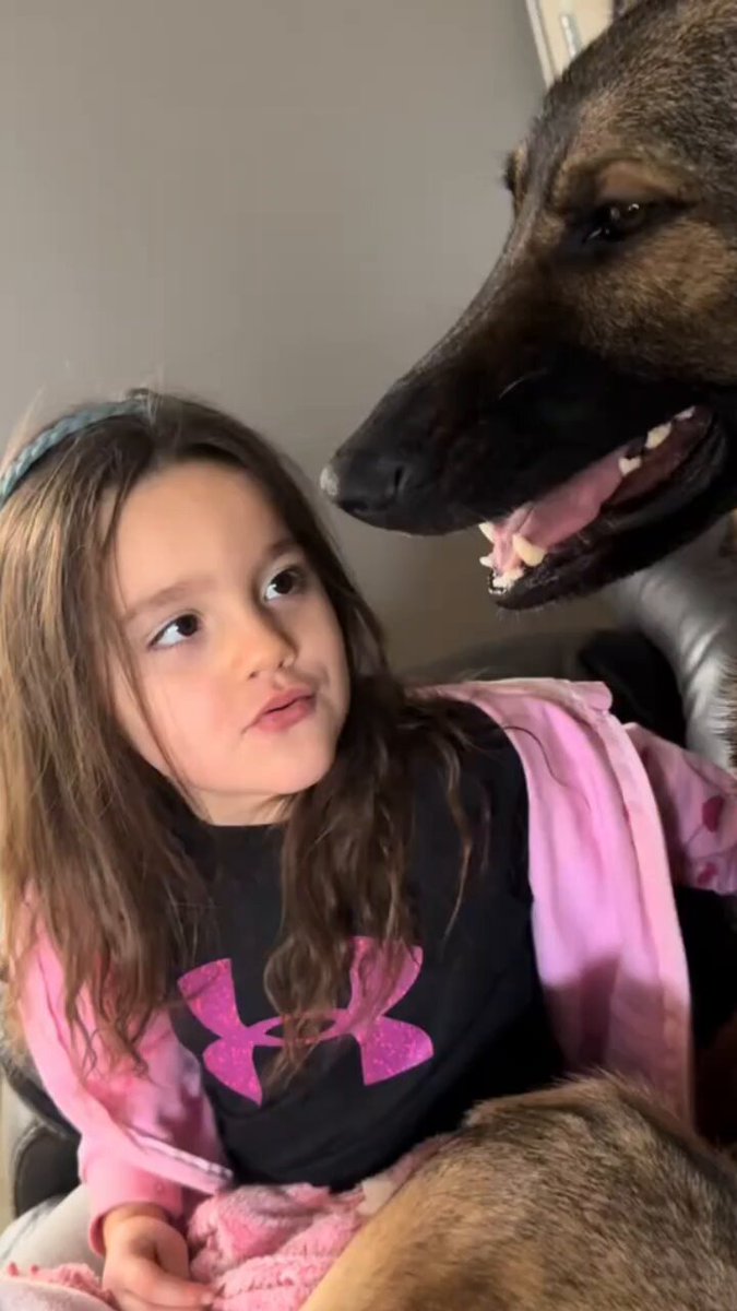 For one split second, this German Shepherd looks ready to teach her a lesson. But what happens next says everything about their bond. She keeps pushing his buttons until he finally opens his mouth toward her. Then he suddenly stops, as if he remembers exactly who he's dealing with. Moments later, her little fingers are in his mouth, and he's covering her face with kisses. It's that split-second decision that makes this moment so incredible.