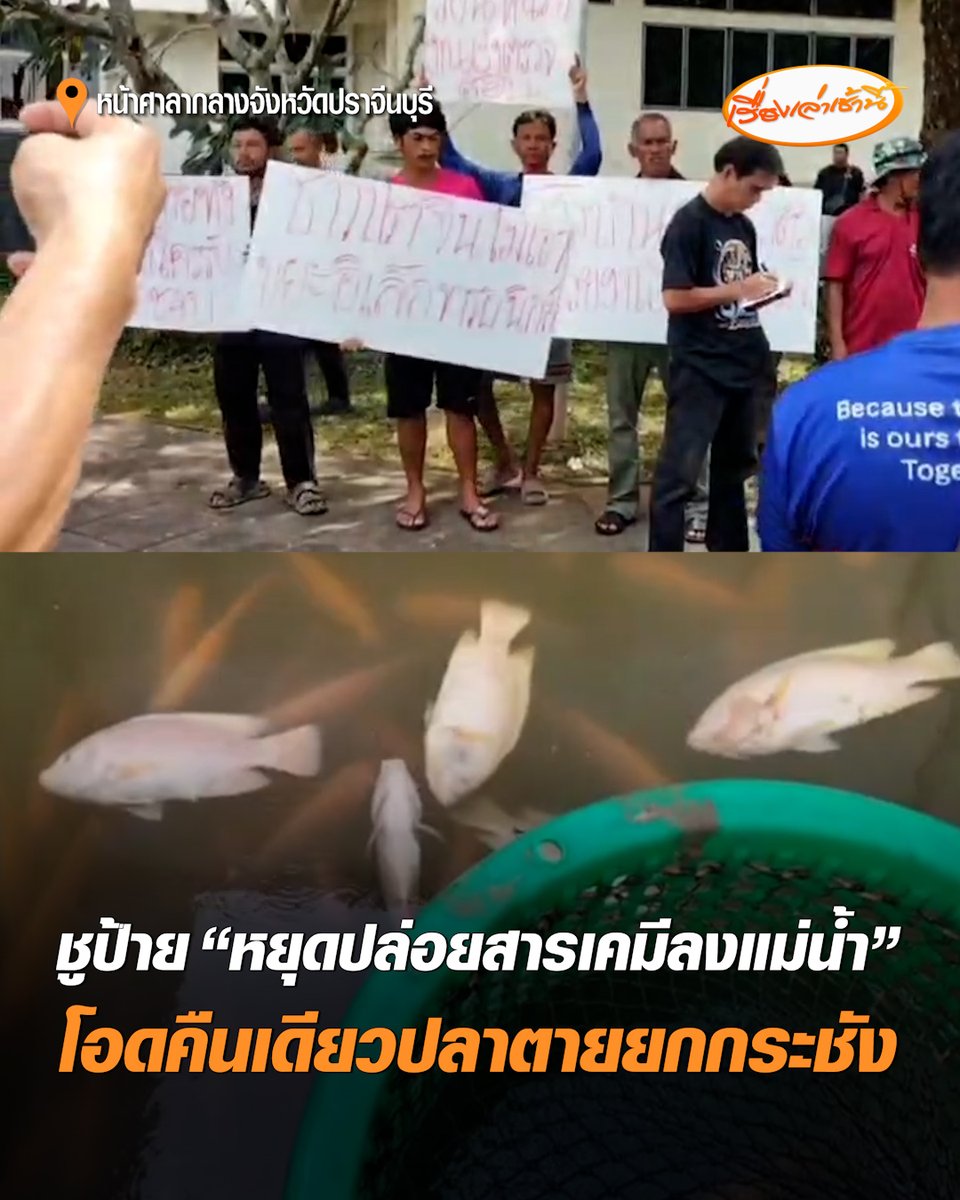 เดือด! ผู้เลี้ยงปลารวมตัวบุกศาลากลาง ชูป้าย “หยุดปล่อยสารเคมีลงแม่น้ำ” โอดคืนเดียวปลาตายยกกระชัง เสียหาย 100% จี้เร่งหาสาเหตุ #เรื่องเล่าเช้านี้ #ครอบครัวข่าว3 #ข่าวภูมิภาค #ปราจีนบุรี #ปลาตายยกกระชัง
