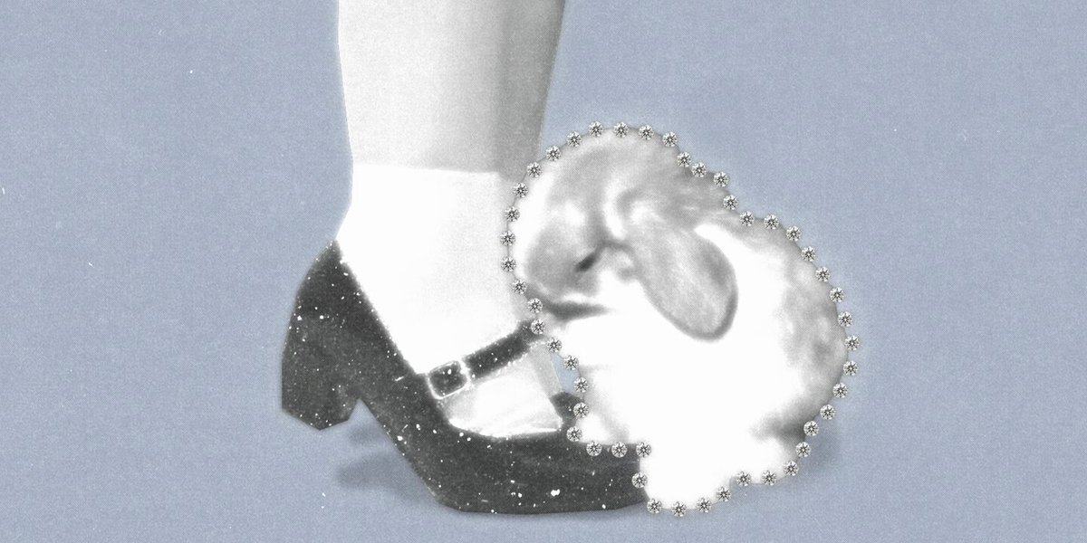 ㅤㅤㅤㅤ ㅤ ꒰ᐢ. .ᐢ꒱₊˚⊹ ᰔ 𝐓𝐇𝐄 𝐏𝐑𝐄𝐅𝐀𝐂𝐄. ❛ The rabbit and the young woman. A magical chapter ⋆ is coming soon. — THE HAREOPHANT, XVI. ₊⊹ ㅤ