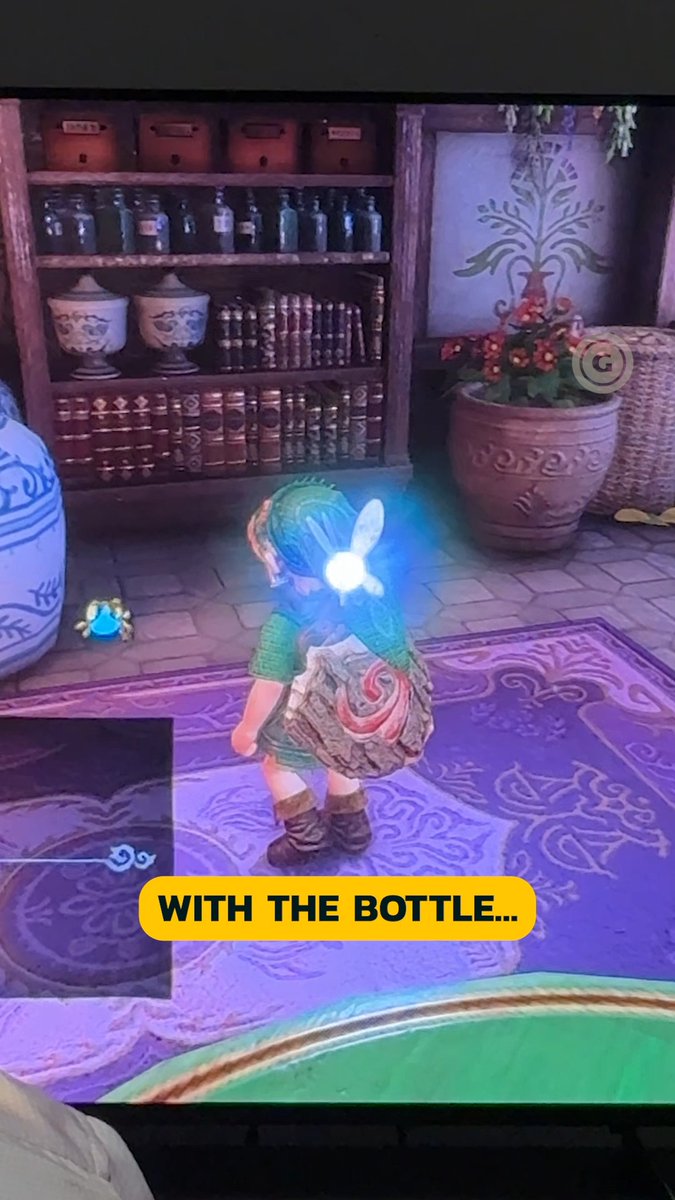 We caught the potion shop's bug in Ocarina Of Time Remake, but it comes back to haunt us.