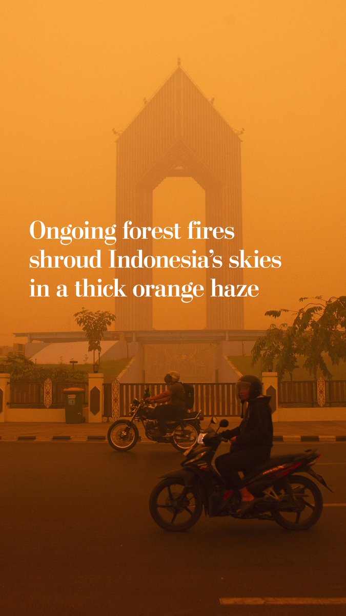 A thick orange haze blanketed Indonesia on Wednesday, as ongoing forest fires continue to burn. The haze caused a spike in respiratory illnesses in the country as well as a decline in air quality across the region.