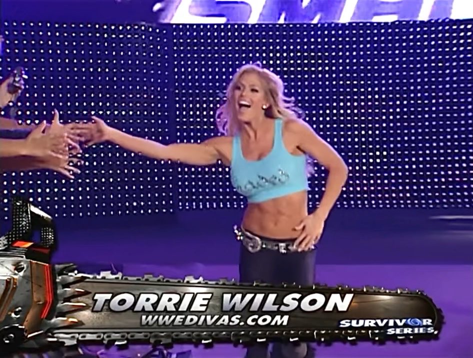 Good afternoon TL! 🎀 Enjoy a WWE Survivor Series 10 Diva TagTeam Match! 🍿📺