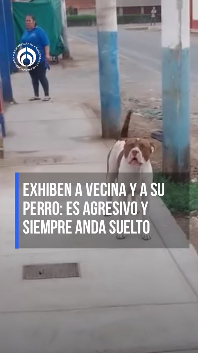🔴 Exhiben a vecina y a su perro. 🐕 Una mujer aseguró que es agresivo, siempre anda suelto y sin bozal. También acusó que por el lugar pasan muchos menores que podrían estar en peligro. #RFmx #Imperdible