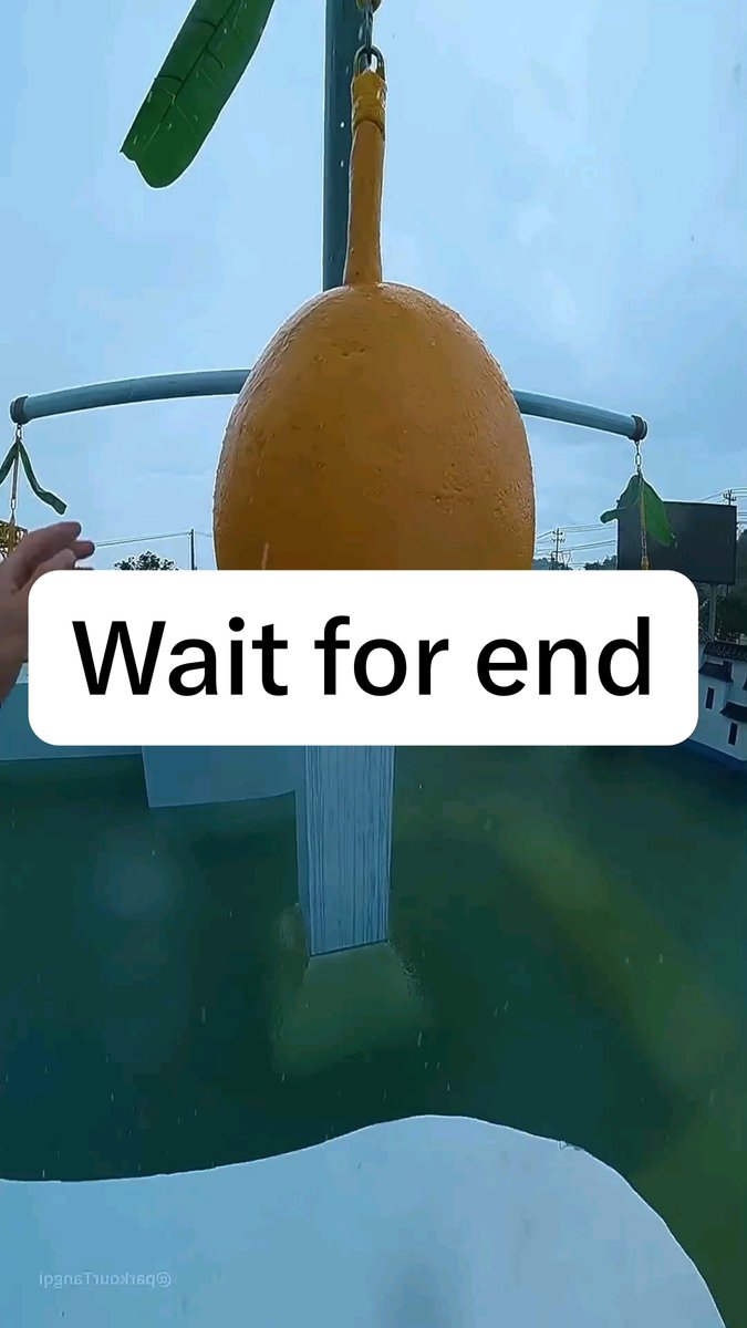 Bro really risked it all for a mango 😭💀